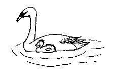 swan.gif